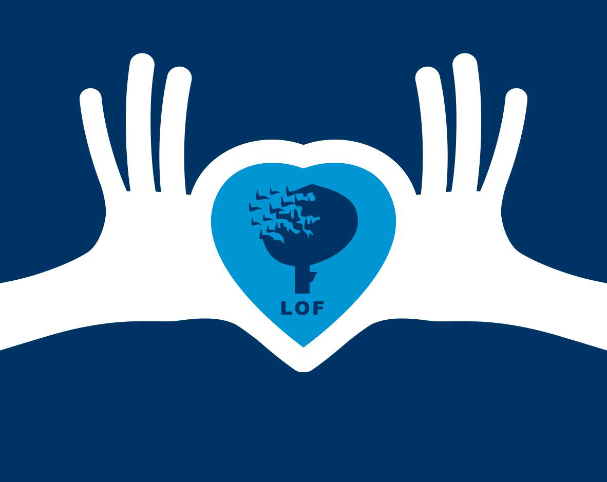 Oplyses senere | LOFskolen